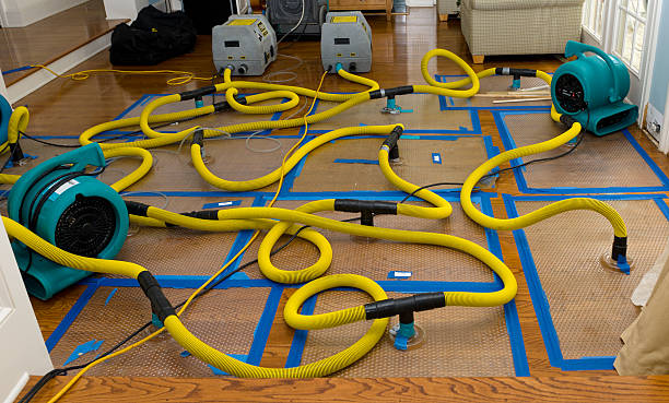 Professional Structural Drying And Dehumidification technician working in Almira, WA